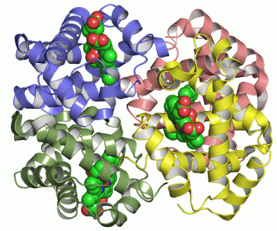 Image Asym./Biol. Unit - manually