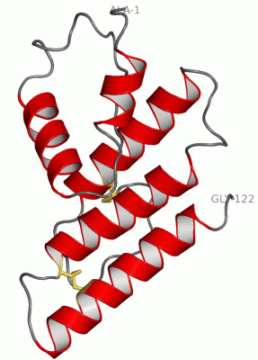 Image Asym./Biol. Unit - manually