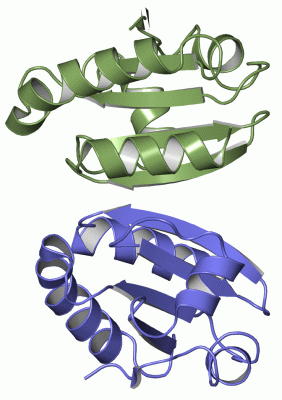 Image Asym.Unit - manually