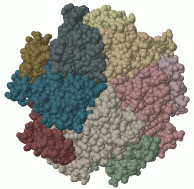 Image Biol.Unit 1 - manually