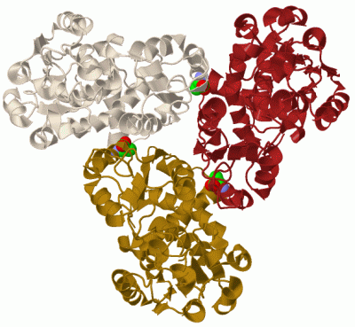 Image Biol.Unit 1 - manually