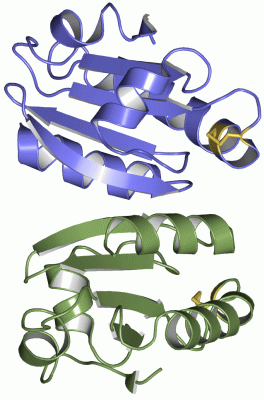 Image Asym.Unit - manually