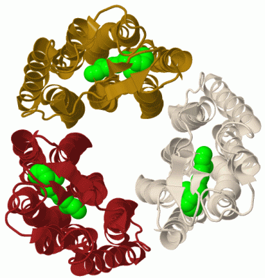 Image Biol.Unit 1 - manually