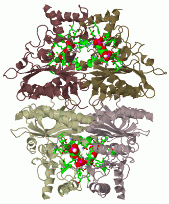 Image Biol.Unit 1 - manually