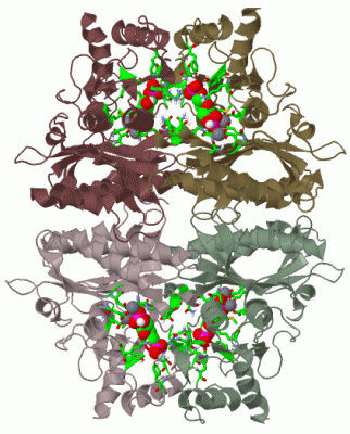 Image Biol.Unit 1 - manually