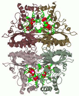 Image Biol.Unit 1 - manually