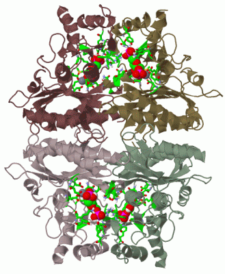 Image Biol.Unit 1 - manually