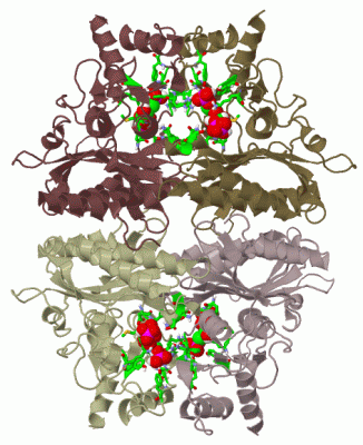 Image Biol.Unit 1 - manually