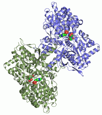 Image Asym./Biol. Unit - manually