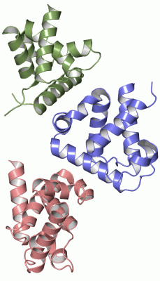 Image Asym./Biol. Unit - manually