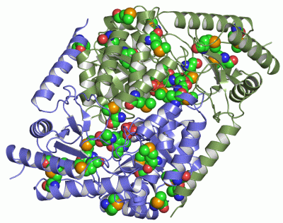 Image Asym./Biol. Unit - manually