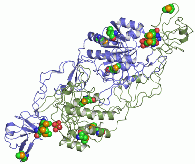 Image Asym./Biol. Unit - manually