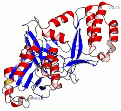 Image Asym./Biol. Unit - manually