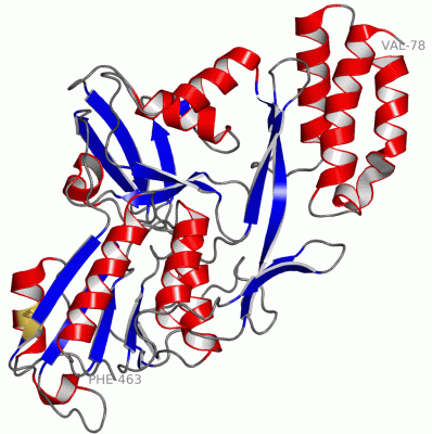 Image Asym./Biol. Unit - manually