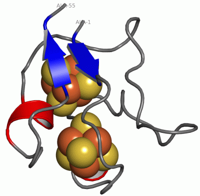 Image Asym./Biol. Unit - manually