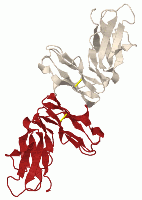 Image Biol.Unit 1 - manually