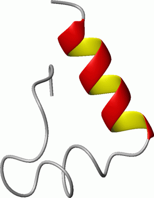 Image NMR Structure - manually