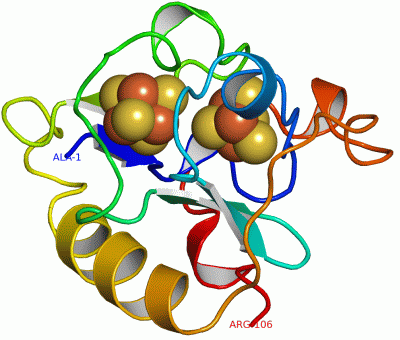 Image Asym./Biol. Unit - manually
