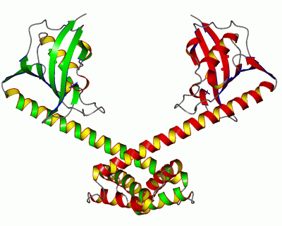 Image Biol.Unit 1 - manually