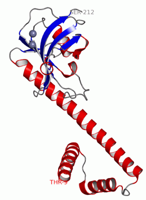 Image Asym.Unit - manually