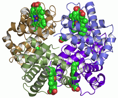 Image Asym./Biol. Unit - manually