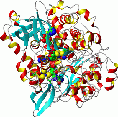 Image Asym./Biol. Unit - manually