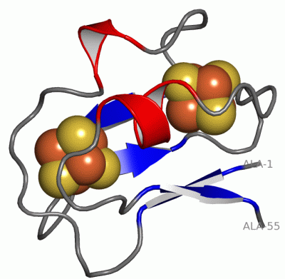 Image Asym./Biol. Unit - manually