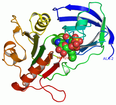 Image Asym./Biol. Unit - manually