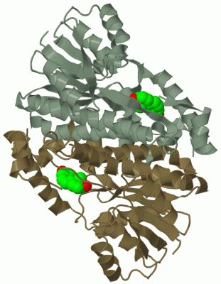 Image Biol.Unit 1 - manually