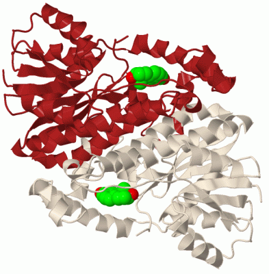 Image Biol.Unit 1 - manually