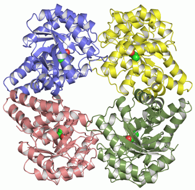 Image Asym./Biol. Unit - manually