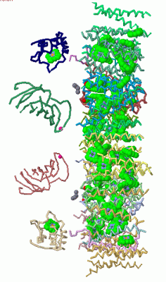 Image Asym./Biol. Unit - manually