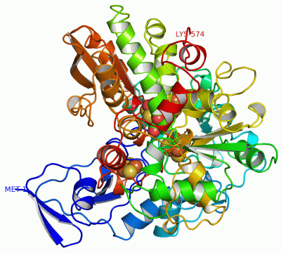 Image Asym./Biol. Unit - manually