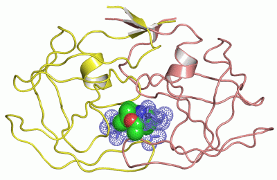 Image Asym./Biol. Unit - manually