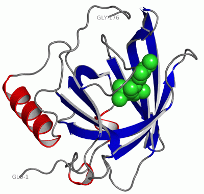 Image Asym./Biol. Unit - manually