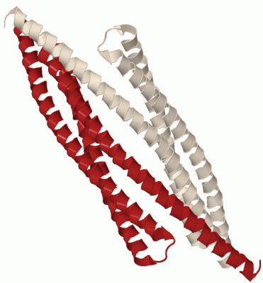 Image Biol.Unit 1 - manually