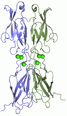 Image Asym./Biol. Unit - manually