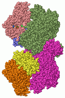 Image Asym./Biol. Unit - manually