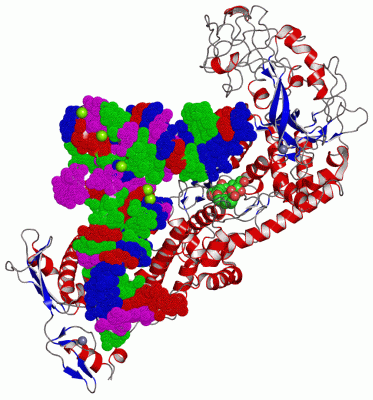 Image Asym./Biol. Unit - manually