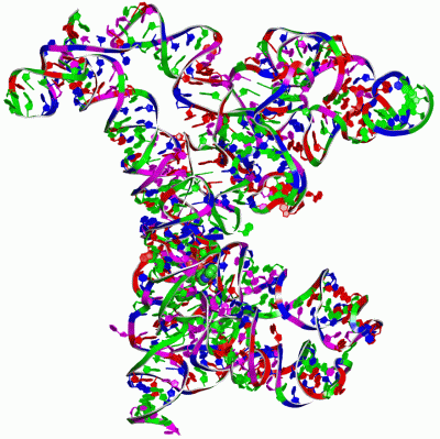 Image Asym./Biol. Unit - manually