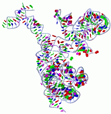 Image Asym./Biol. Unit - manually