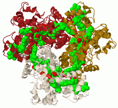 Image Biol.Unit 1 - manually