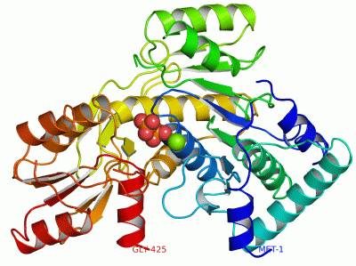 Image Asym./Biol. Unit - manually