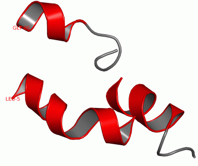 Image NMR Structure - manually