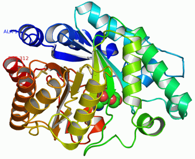 Image Asym./Biol. Unit - manually