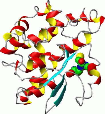 Image Asym.Unit - manually