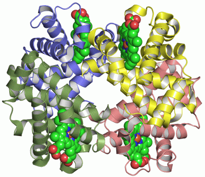 Image Asym./Biol. Unit - manually