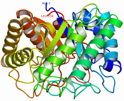 Image Asym./Biol. Unit - manually