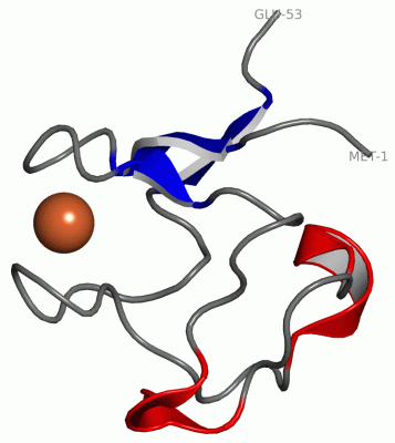 Image Asym./Biol. Unit - manually