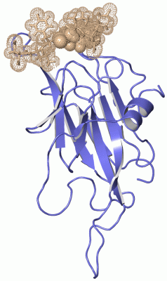 Image NMR Structure - manually